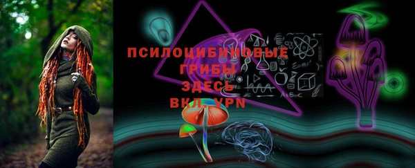 амф Абаза