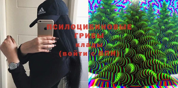 амф Абаза