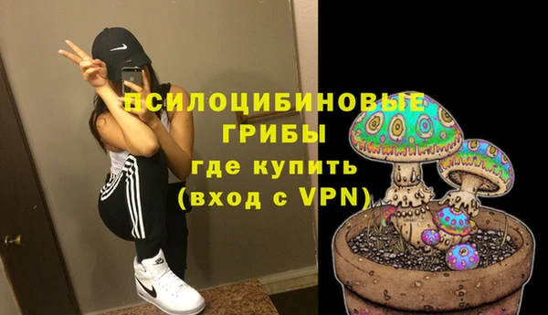 амф Абаза